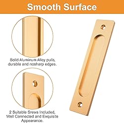 MOROBOR Rectangular Recessed Sliding Door