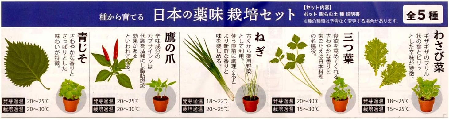 Amazon Co Jp 聖新陶芸 育てるカプセル 薬味栽培セット 24個入 Gd 926 ホーム キッチン