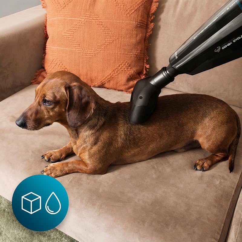 Aspirapolvere portatile senza fili Conga Immortal Extremesuction 22,2 Animal Hand Neo. 150 W, Batteria 22,2V, 10kPa, Serbatoio 500ml, Filtro ad alta efficienza, Accessorio per Animali