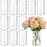TBWIND 12pcs Glass Cylinder Vases for Centerpieces, 6 Inch Clear Flower Vases for Wedding Decorations and Indoor Home Decor, 