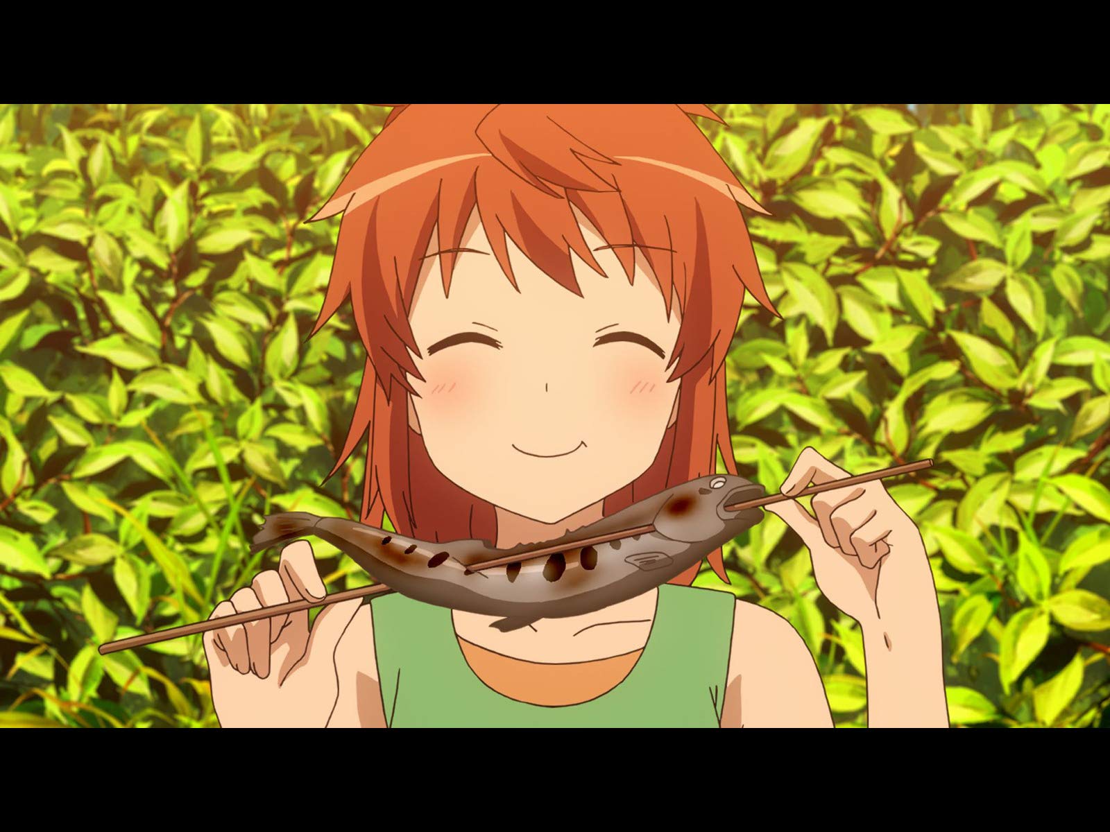 Amazon Co Jp のんのんびより のんすとっぷを観る Prime Video