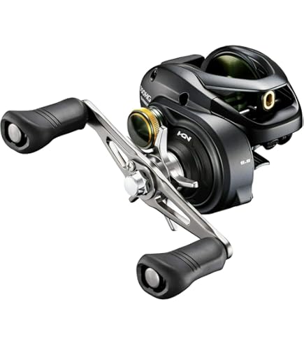 タトゥーラ300 Amazon.com : Daiwa TTU300HS Tatula Tw300 Baitcast Reel, 7