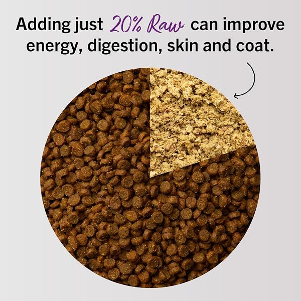 STELLA & CHEWY’S FREEZE-DRIED RAW CAT DINNER MORSELS – PREMIUM DUCK & GOOSE RECIPE WITH 98% CAGE-FREE POULTRY & ORGANS – NATURAL GRAIN-FREE CAT & KITTEN FOOD – MADE IN USA – 3.5 OZ