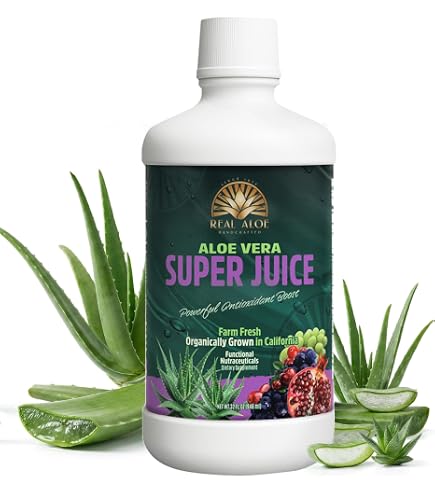 aloe vera cactus Aloe Vera main image 1