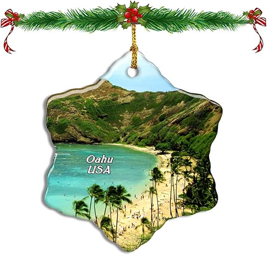 Amazon Com Fcheng Usa America Hanauma Bay Oahu Hawaii Christmas