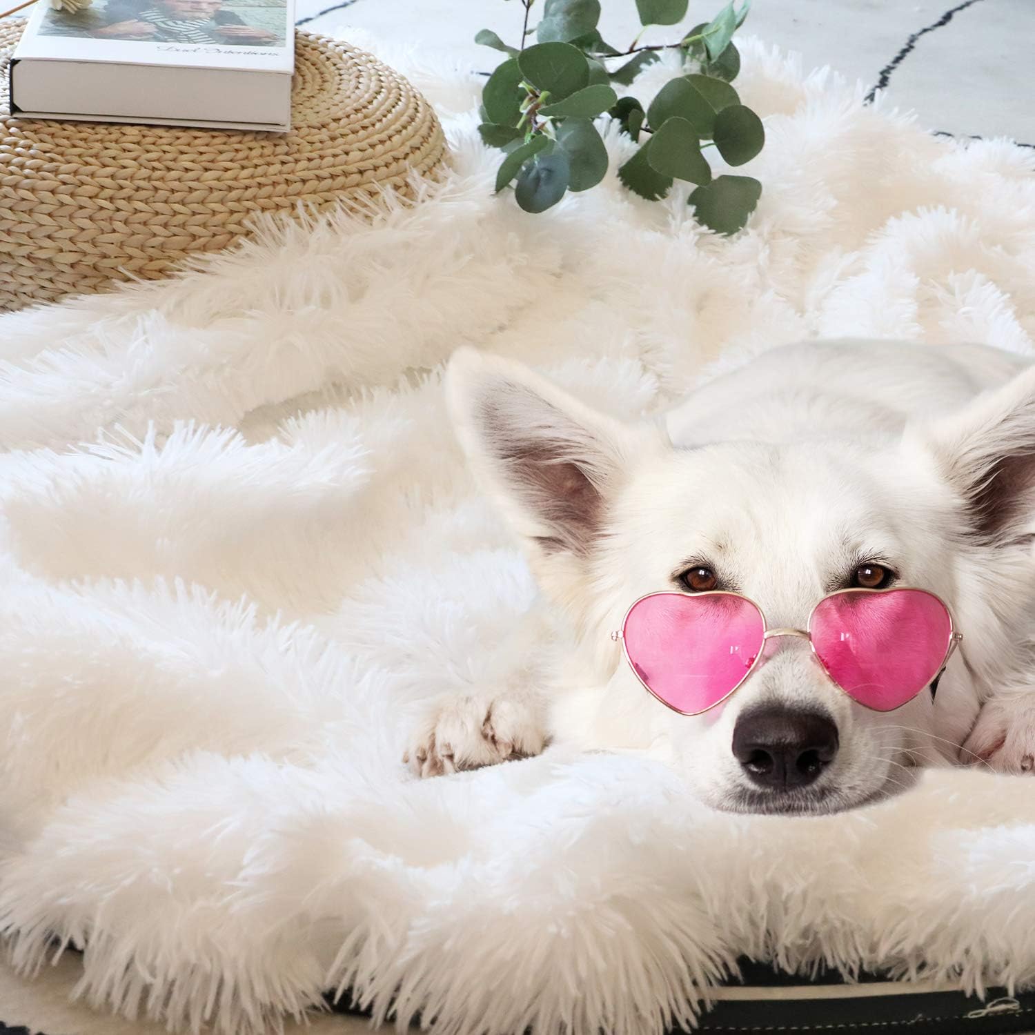 Decorative Extra Soft Faux Fur Throw Blanket 50" x 60",Solid Reversible Fuzzy Lightweight Long Hair Shaggy Blanket,Fluffy Cozy Plush Fleece Comfy Microfiber Fur Blanket for Couch Sofa Bed,Pure White: Home & Kitchen
