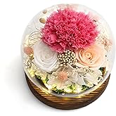 Roses for Delivery - Prime Cool Unusual Gifts for Ladies, Moms, Lovers, Friends, Birthday, Anniversaries - Eternal Flowers - Unique Graduation Bouquet (Pink Carnation)