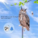 Lifreer Fake Owl Decoy 5Pcs Reflective Bird Deterrent Outdoor Hanging Device view 5