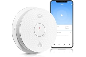 Siterlink Smart Smoke and Carbon Monoxide Detector Combo, 2 in 1 WiFi 2.4G Fire and CO Alarm Detector, Voice Alert, Replaceable Battery, Auto-Check, UL 217 & UL 2034 Standards, 1 Pack