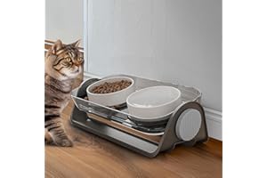 Oneluck Elevated Cat Bowl, Raised Ceramic Dish, 100% Waterproof Cat and Dog Bowls, 15° Tilted Raised Stand Slip Resistant Raised Edges, Catch Water, Food Mess, No Spills