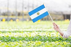 50 Pack Argentina Argentine Flags on Stick