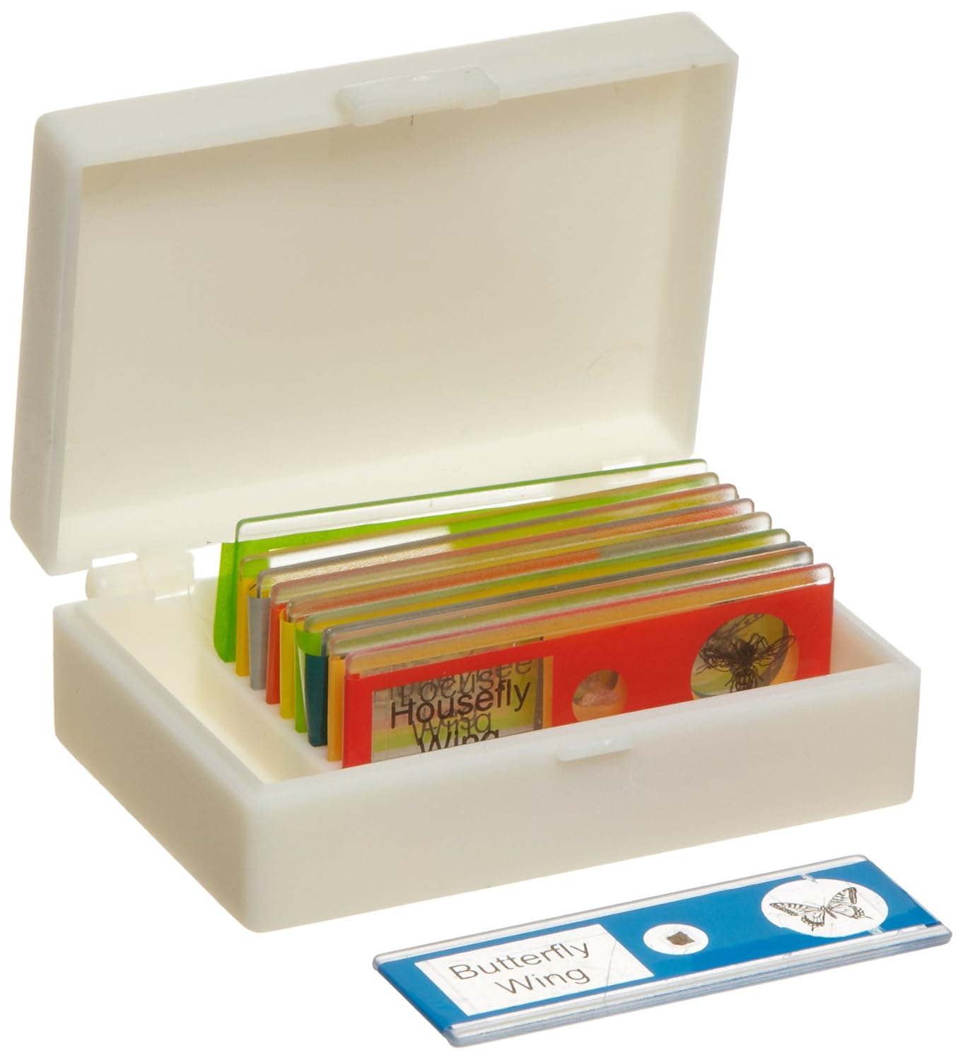American Educational Plastic Insect Microscope Slide Set in
