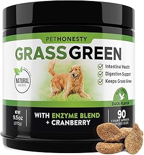 dog rocks water bowl treatment