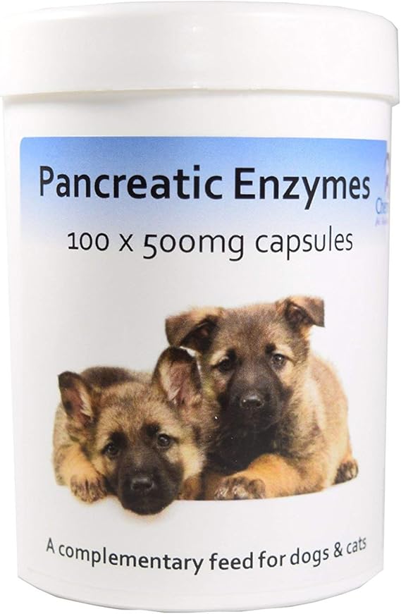 Pancreatic Digestive Enzyme Capsules for Dogs & Cats Amylase and Lipase Health Supplement for