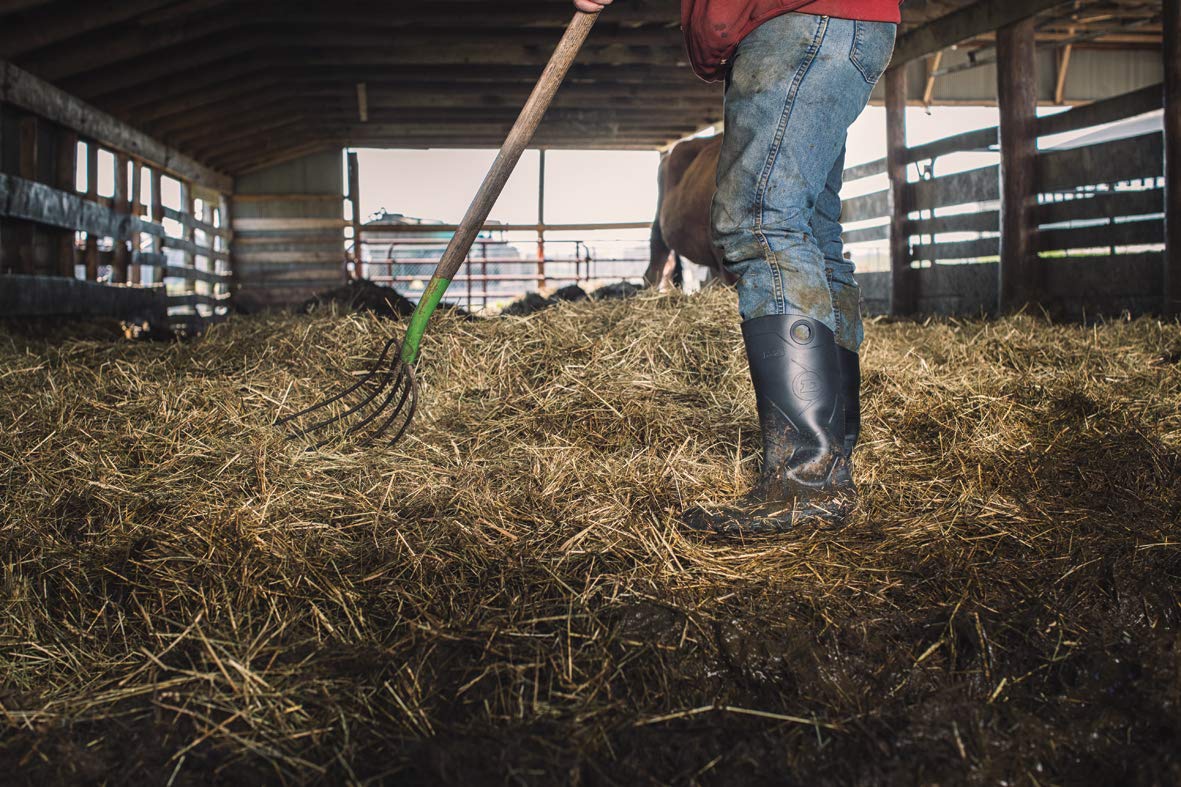 Dunlop 8677511 Chesapeake Boots, 100% Waterproof PVC, Lightweight and Durable Protective Footwear, Size 11: Industrial & Scientific
