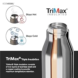 EcoVessel Stainless Steel Bottle with Removable