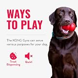 KONG Gyro Interactive Dog Toy Treat Dispenser Slow Feeder Medium Large view 5