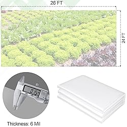 24 x 26 FT Clear Greenhouse Plastic Sheeting, 6 Mil