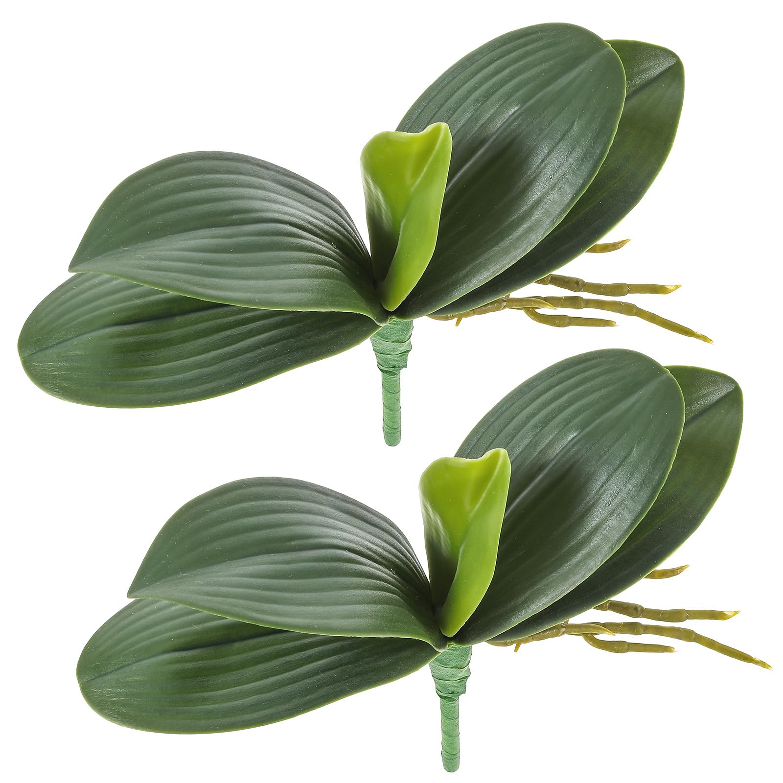 Photo 1 of 2 Pcs Orchid Leaves Artificial Real Touch Faux Phalaenopsis Stems Leaf 8 Inches Green Leaf Plants Fake Cymbidium Flower Foliage Green Real Touch Latex Orchid Leaves for Flowers Arrangements Pot Decor