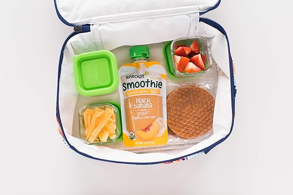 SPROUT ORGANIC TODDLER SMOOTHIE, PEACH BANANA W/ YOGURT, 4 OUNCE POUCH (PACK OF 6)