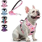BEAUTYZOO No Pull Dog Harness and Leash Set, Step in Puppy Pet Vest, Small | Reflective with Handle, Adjustable Soft Padded, Easy Control for Walking, No Choke Escape Proof, Lightweight, Pink