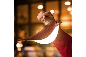 VViN 2 in 1 Small Desk Lamp, Bird Cordless Table Lamp with 3 Color Temperature Dimmer and Touch Sensor - Rechargeable Battery Night Light for Kids, Bedroom, Bedside, and Outdoor Use