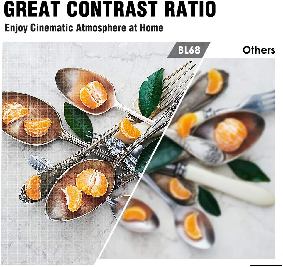 Projector, DracoLight 2020 6000 Lux Video Projector 50000 Hours Lamp Life Support 1080P Full HD, Compatible with Fire TV Stick, PS4, HDMI, VGA, AV and USB for Home Theater, Office Presentations: Electronics