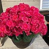 BSMYBO 6PCS Artificial Geraniums Outdoor Flowers, Faux Geraniums Artificial Flowers Plants Outdoor UV Resistant Plants, Realistic Silk Flowers for Cemetery, Front Porch Decor, Table Centerpiece