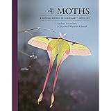 The Lives of Moths: A Natural History of Our Planet's Moth Life (The Lives of the Natural World, 1)