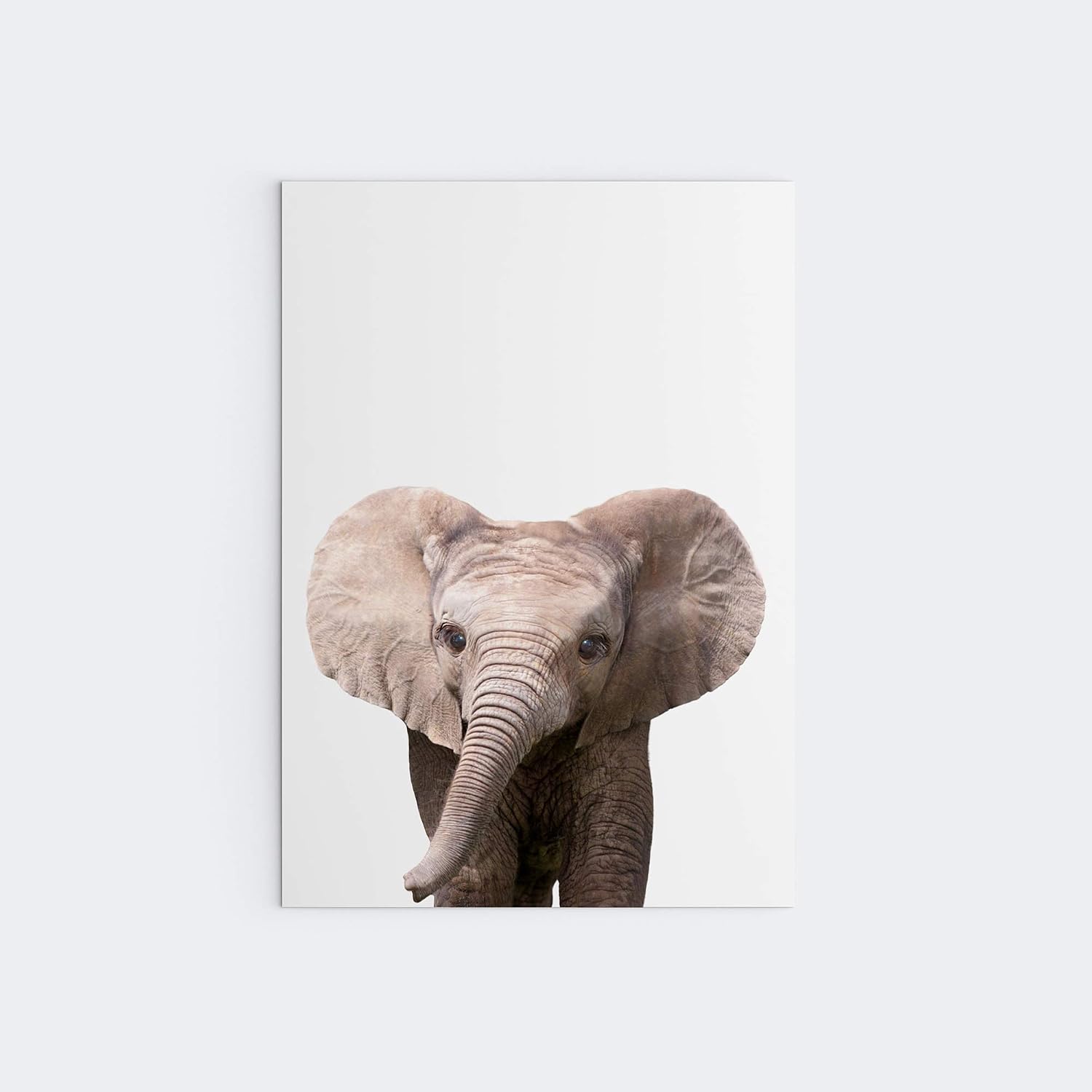 Jungle Safari Baby Animal Nursery Bedroom Wall Art Picture Prints, Set of 6, Elephant, Lion, Monkey, Giraffe, Cheetah - Image 5