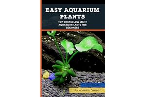 Easy Aquarium Plants: Top 30 Easy Low Light Aquarium Plants for Beginners