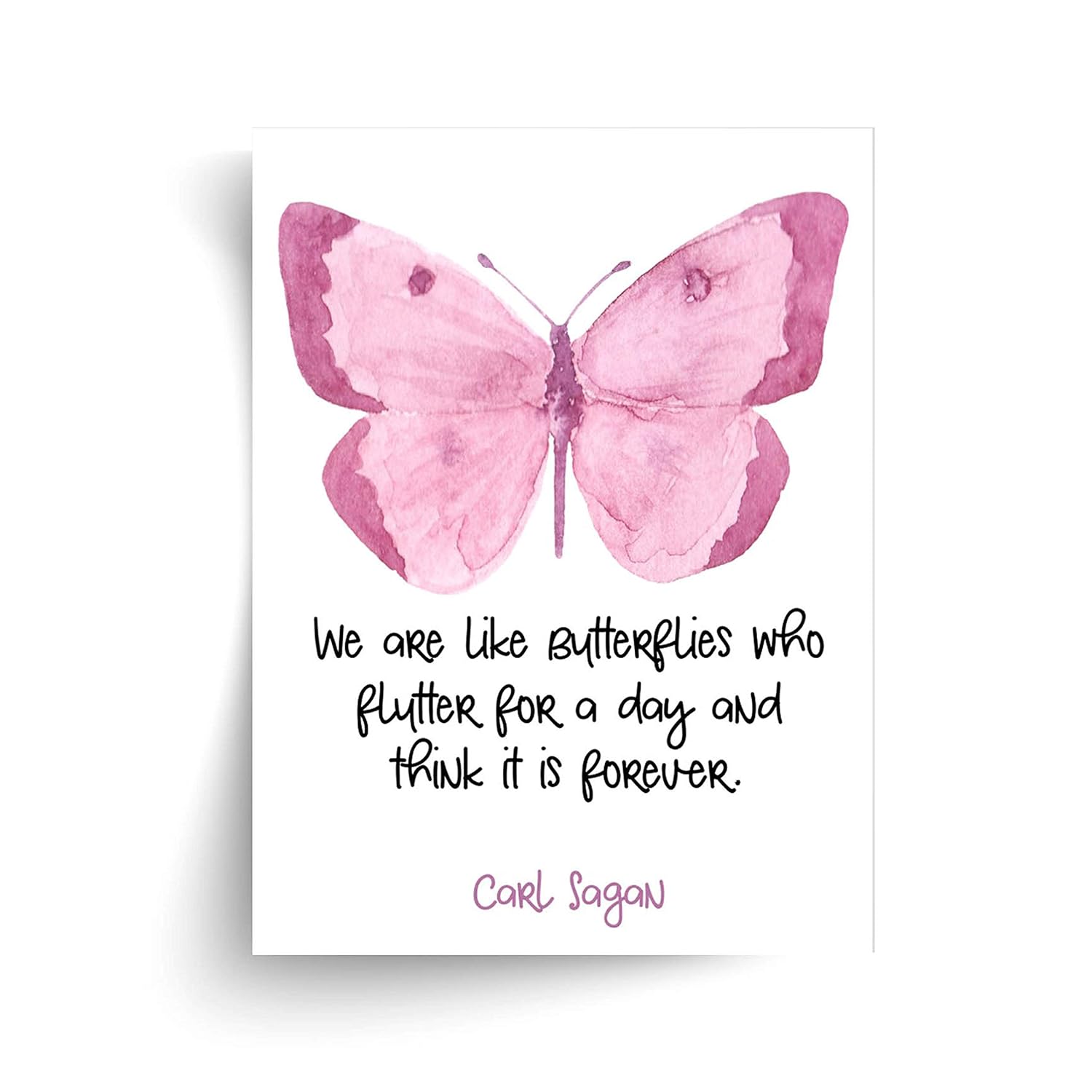 30+ Carl Sagan Quotes Butterflies Background