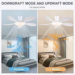 PHORUS 48" White Ceiling Fan with Lights and