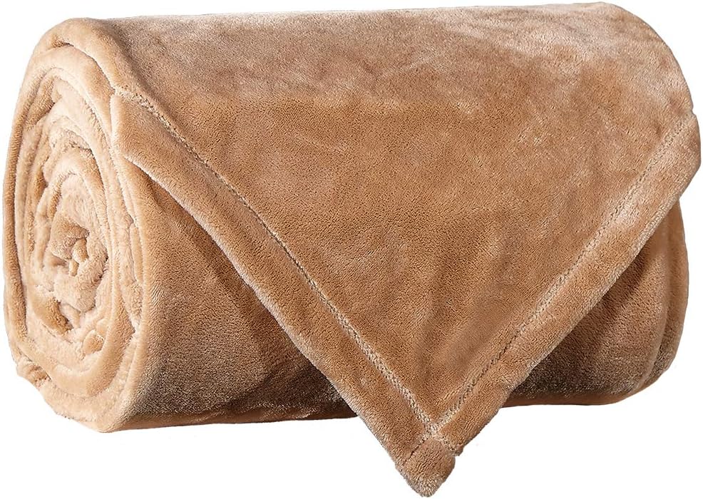 LBRO2M Fleece Bed Blanket Twin Size Super Soft Warm Fuzzy Velvet Plush Throw Lightweight Cozy Couch Blankets,(65x90 Inch) Cream