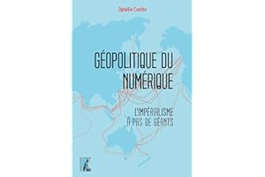 Géopolitique du numérique: L'impérialisme à pas de géant (French Edition)