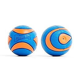 Chuckit! Ultra Squeaker Balls for Dogs, Floating