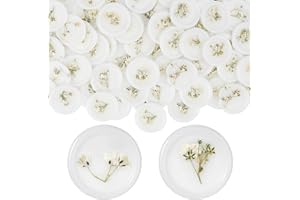 Qilery Adhesive Wax Seal Stickers White Dry Floral Backing Envelope Seals Wedding for Wedding Invitations Bridal Shower Party Letter Envelope(100 Pcs,Baby's Breath)