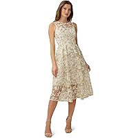 Amazon.com: Adrianna Papell Womens Embroidered Lace Fit and Flare Special  Occasion Dress, Light Blue/Nude, 8 US : Clothing, Shoes & Jewelry