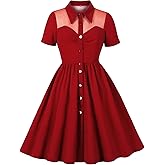 Wellwits Women's Shirt Button up Mesh Insert Work Vintage Dress