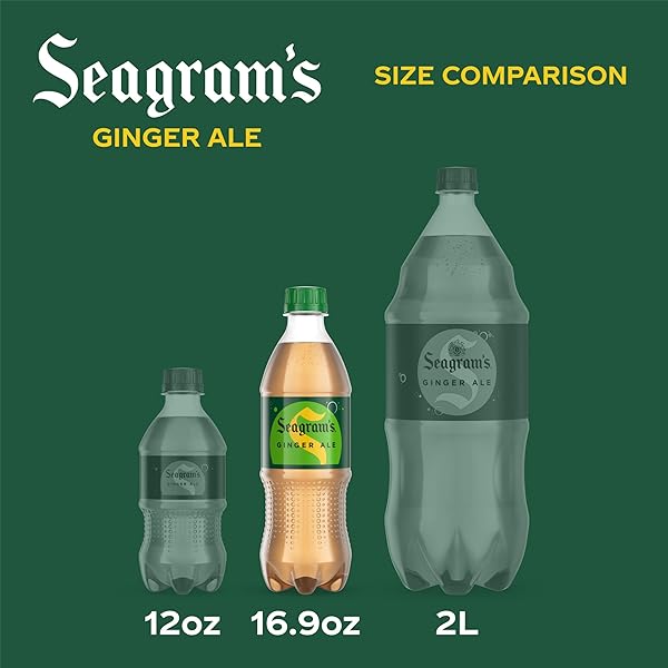SEAGRAMS GINGER SODA SOFT DRINKS, 16.9 FL OZ, 6 PACK