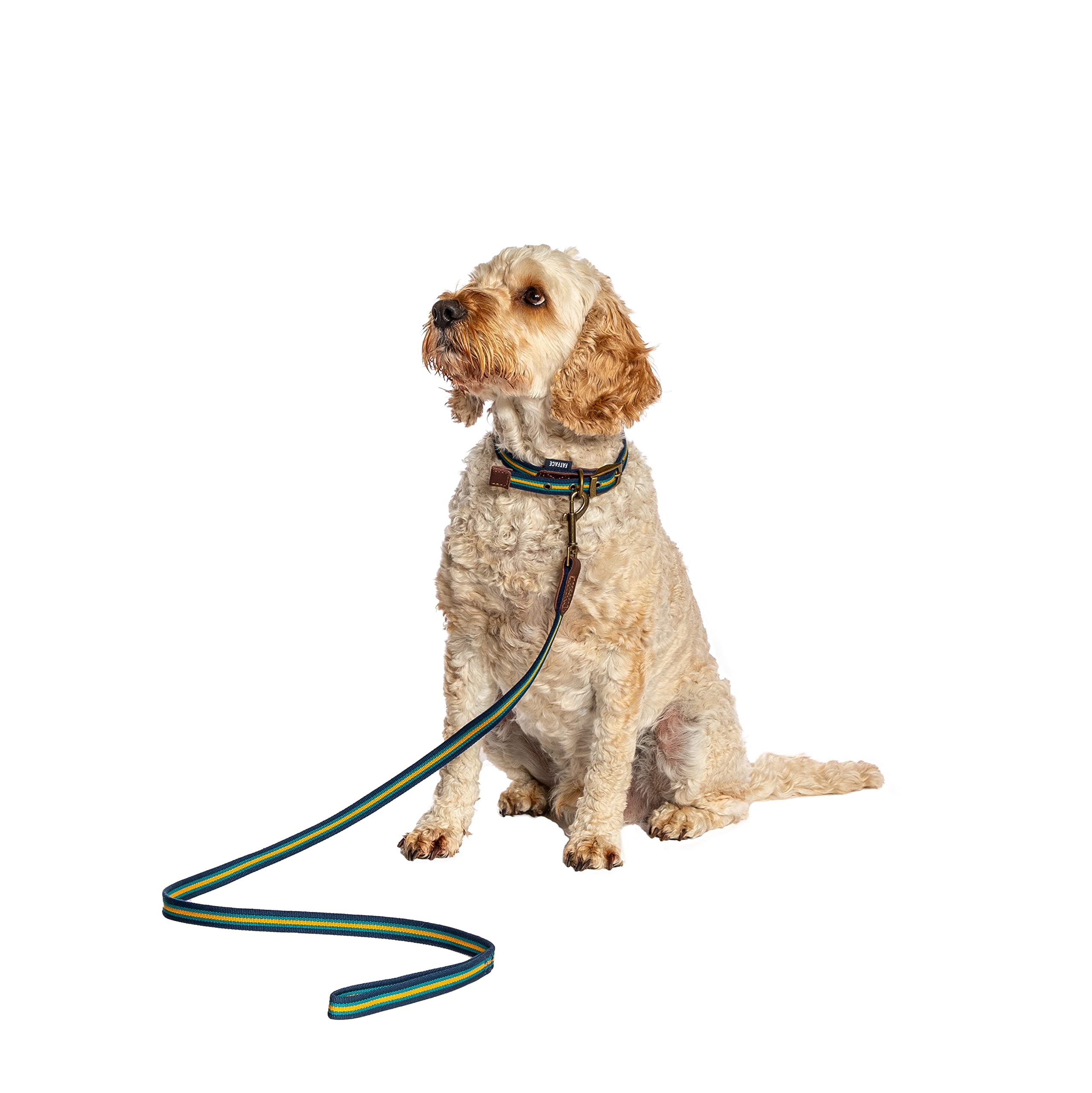 Danish Design FatFace Bold Stripe Blue and Yellow Woven Genuine Leather Trim Metal Buckle Dog/Puppy Leash Medium 20mm 120 cm