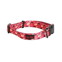BullHug Adjustable Dog Collar – Soft Durable