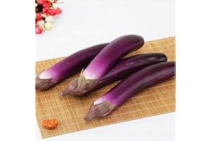 Zzooi 1PCS Artificial Eggplant Display Props