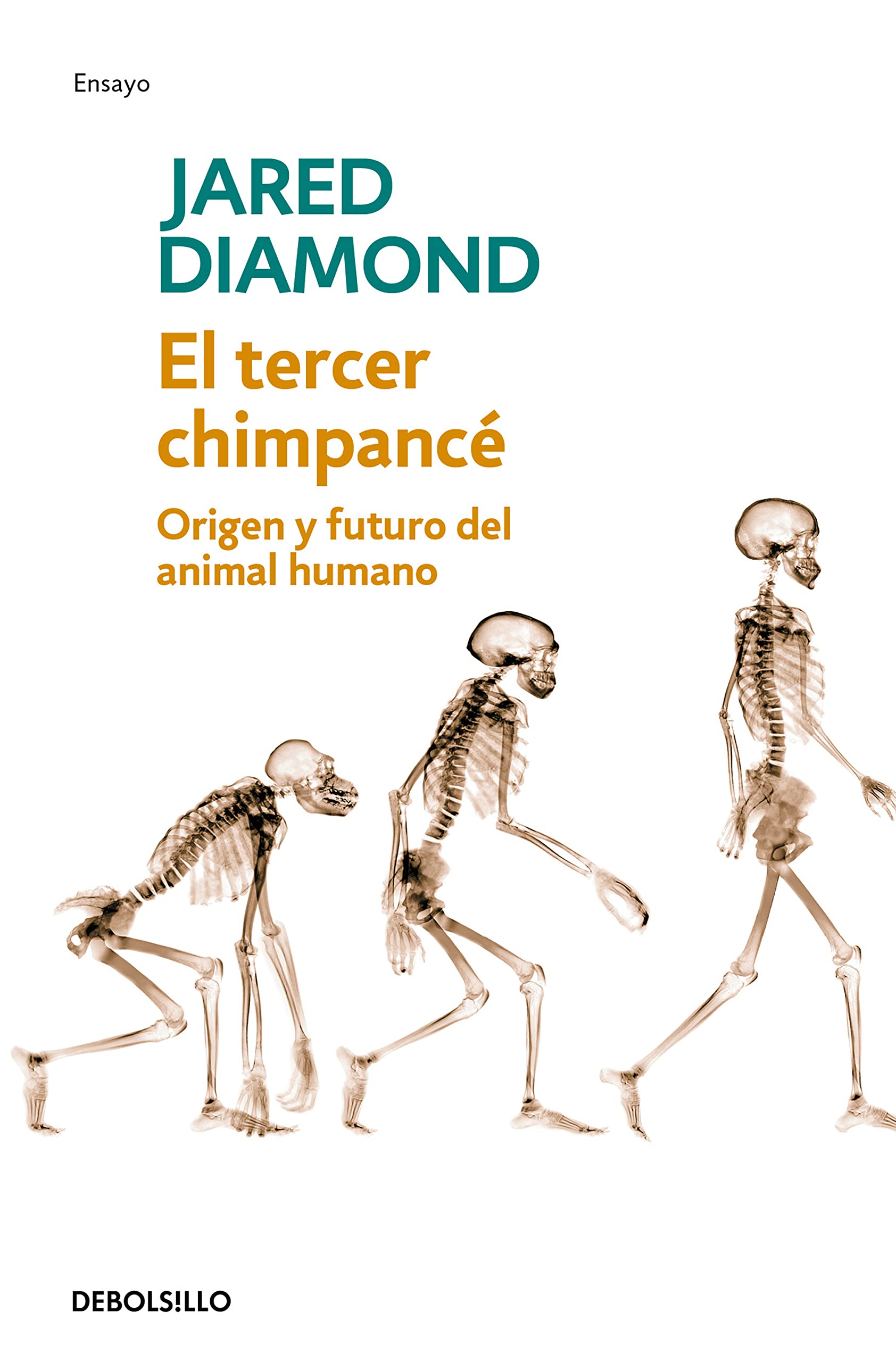 Portada de El tercer chimpancé: Origen y futuro del animal humano (Ensayo | Ciencia)