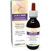 Naturalma Lion's Mane (Hericium erinaceus) Fungus or Mushroom Alcohol-Free Tincture - 4 fl oz Liquid Extract in Drops - Herbal Supplement - Vegan