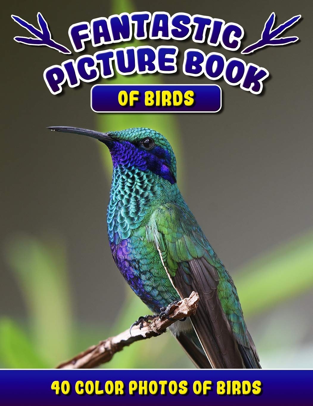 Fantastic Picture Book Of Birds 40 Color Photos Of Birds Bird Names Picture Book Gift For Adults With Alzheimer S Or Dementia Madison Rodrick 9781693543586 Amazon Com Books Fantastic Picture Book Of Birds 40 Color Photos Of Birds Bird Names Picture Book Gift For Adults With Alzheimer S Or Dementia Madison Rodrick 9781693543586 Amazon Com Books