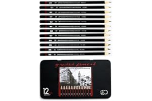 Professional Sketch pencils Drawing pencils set for Adults,Art sketching pencils for Artists Beginner(8B-2H).(12-Count)