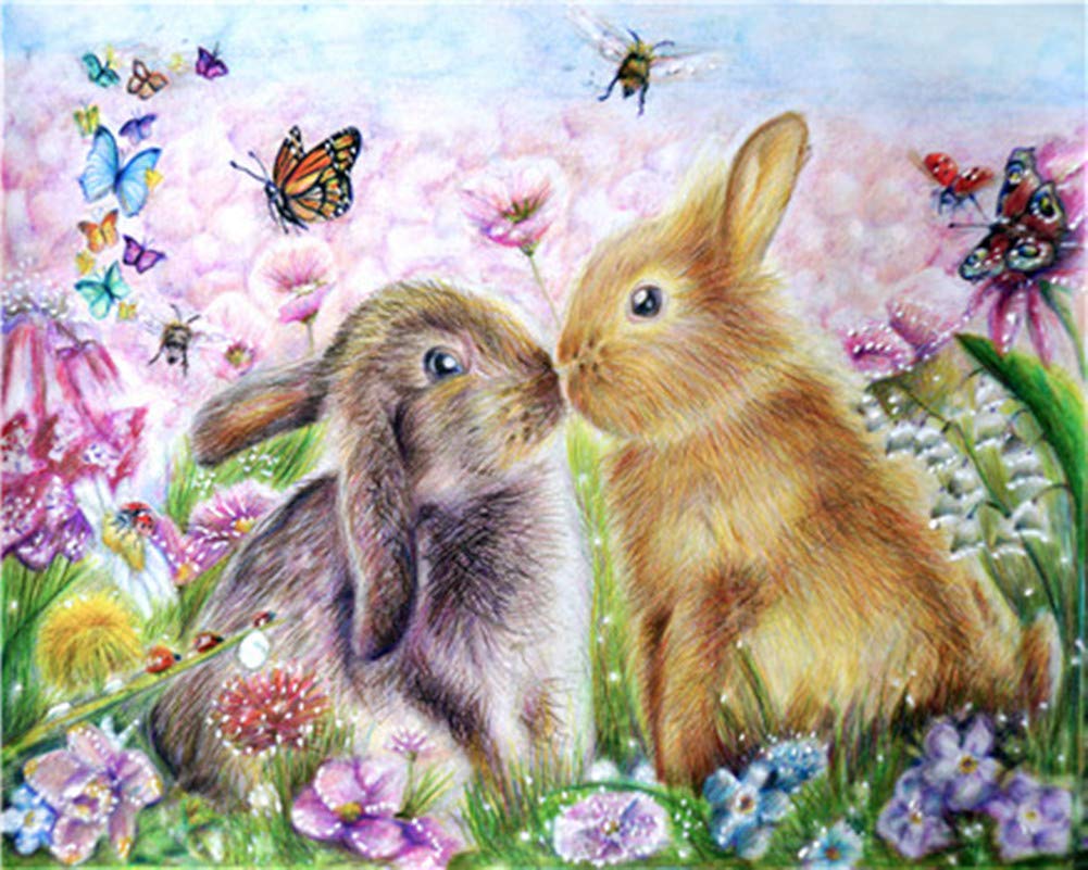 WOWDECOR Paint by Numbers Kits, Diy Oil Painting - Cute Rabbits Kiss Colorful Flowers Butterfly 16x20 inch (Frameless)