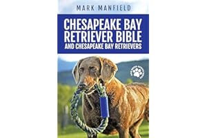 Chesapeake Bay Retriever Bible and Chesapeake Bay Retrievers: Your Perfect Chesapeake Bay Retriever Guide Chesapeake Bay Retrievers, Chesapeake Bay ... Size, Nutrition, Health, History, & More!