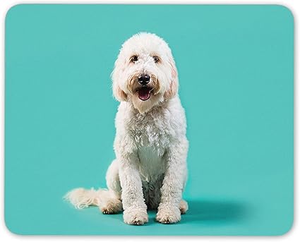 Amazon Com Old English Sheepdog Mouse Mat Pad Dog Puppy Cute